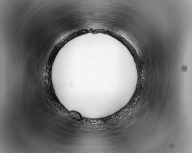 X0000103460823200810101148