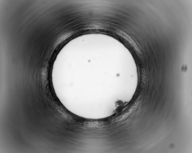 X0000103460826200810101148