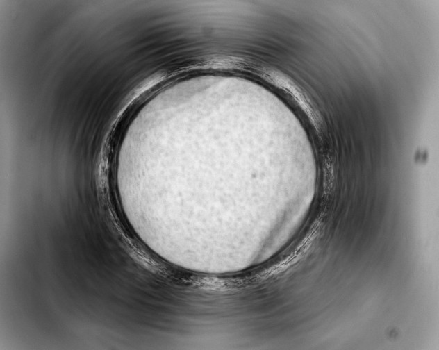 X0000103460827200810101148