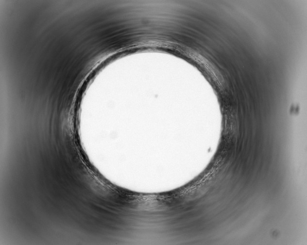 X0000103460828200810101148