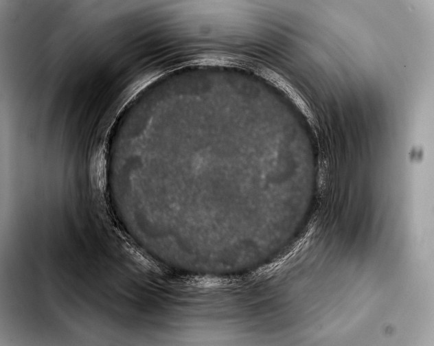 X0000103460829200810101148