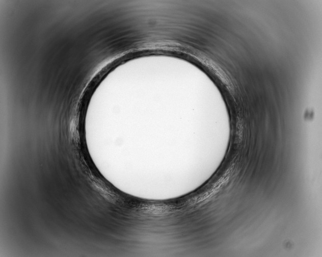 X0000103460830200810101148