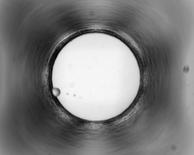 X0000103460831200810101148