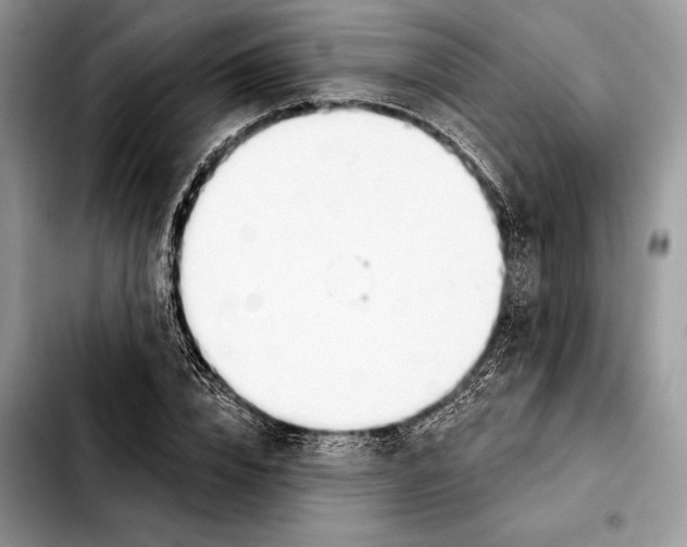 X0000103460832200810101148