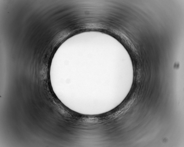 X0000103460833200810101148
