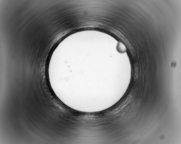X0000103460834200810101148