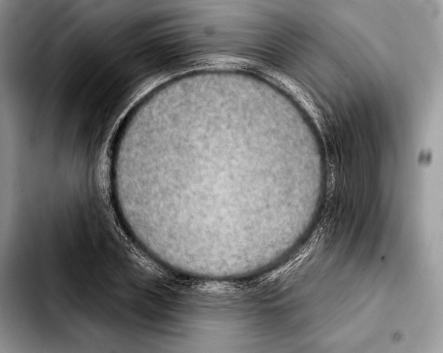 X0000103460835200810101148