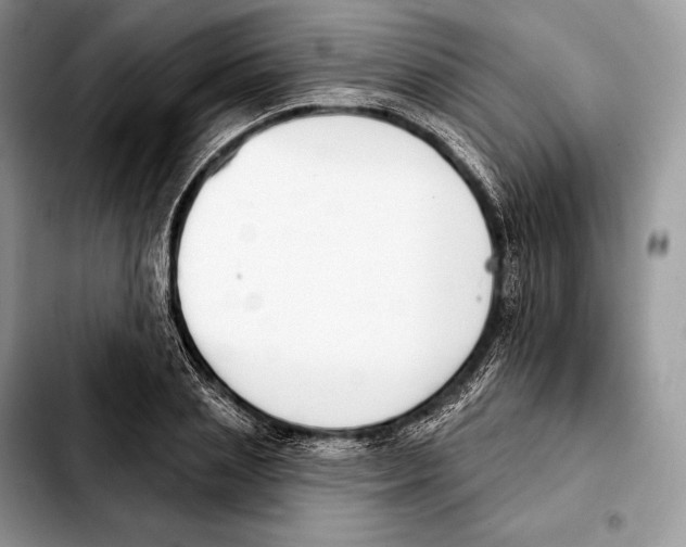 X0000103460837200810101148