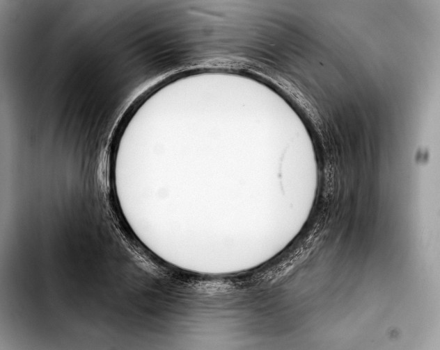 X0000103460838200810101148