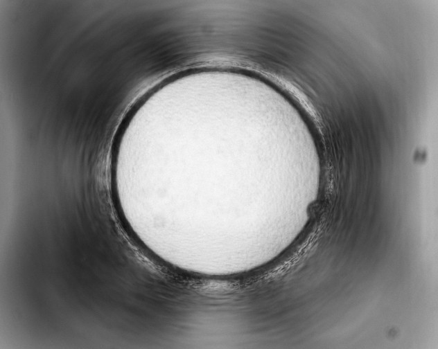 X0000103460839200810101148
