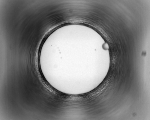 X0000103460840200810101148