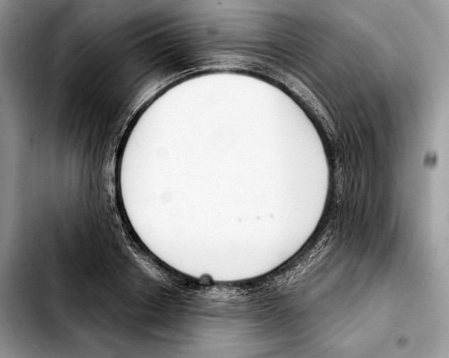 X0000103460842200810101148