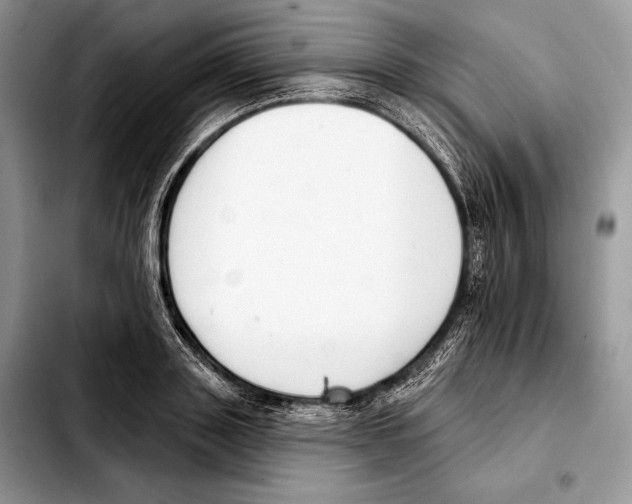 X0000103460843200810101148