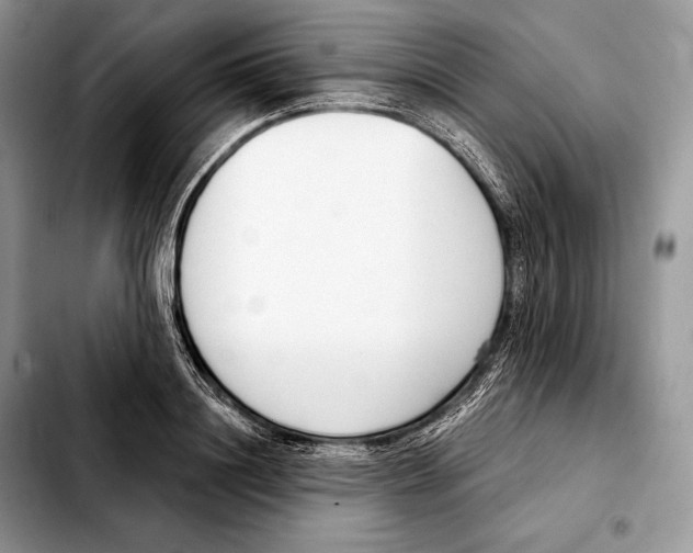 X0000103460844200810101148