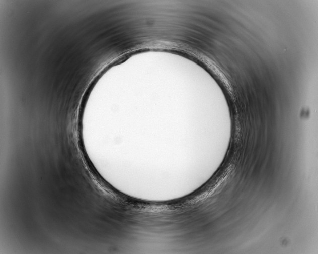 X0000103460845200810101148