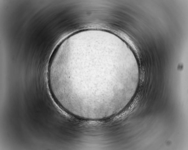 X0000103460847200810101148