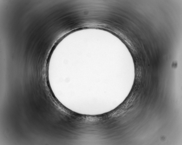 X0000103460848200810101148