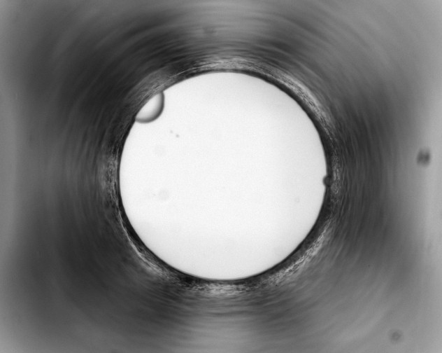 X0000103460849200810101148