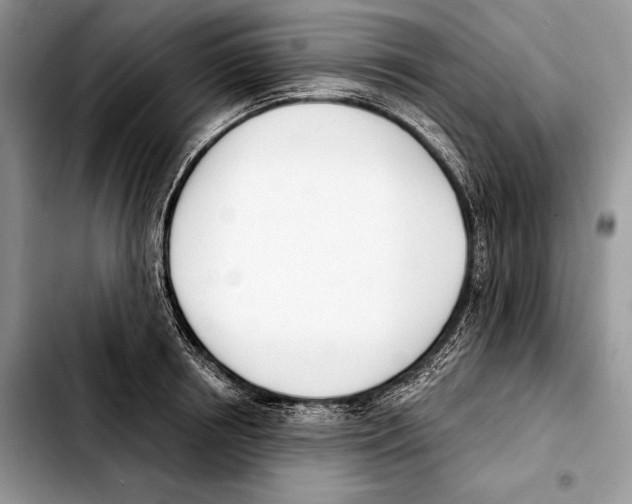 X0000103460850200810101148