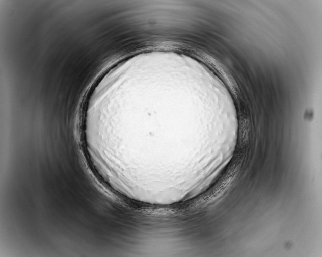 X0000103460851200810101148