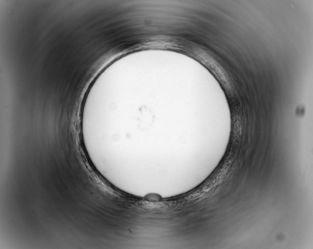 X0000103460852200810101148