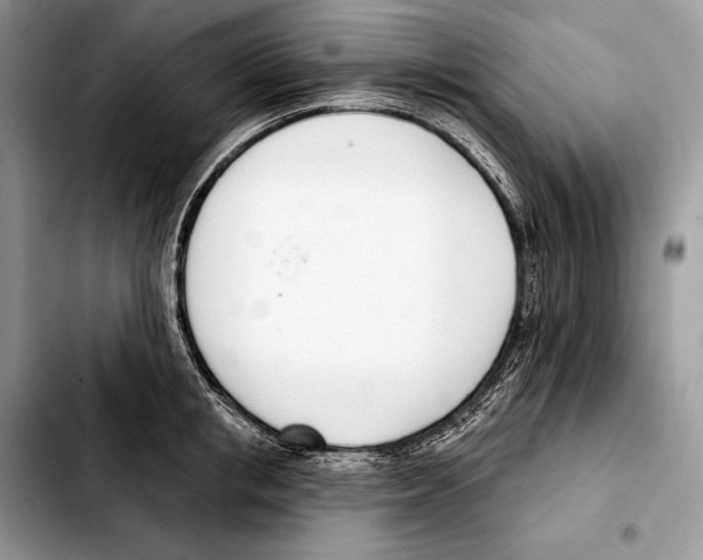 X0000103460853200810101148