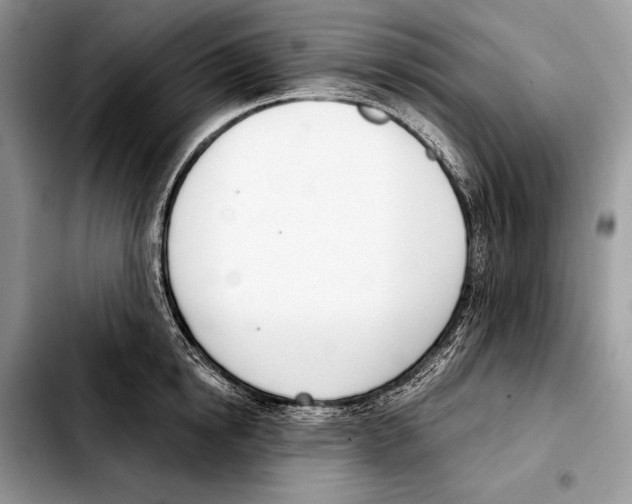 X0000103460854200810101148