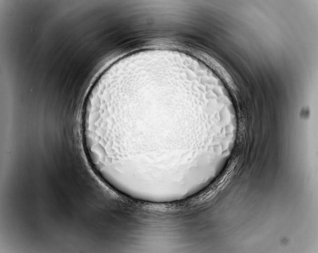 X0000103460855200810101148