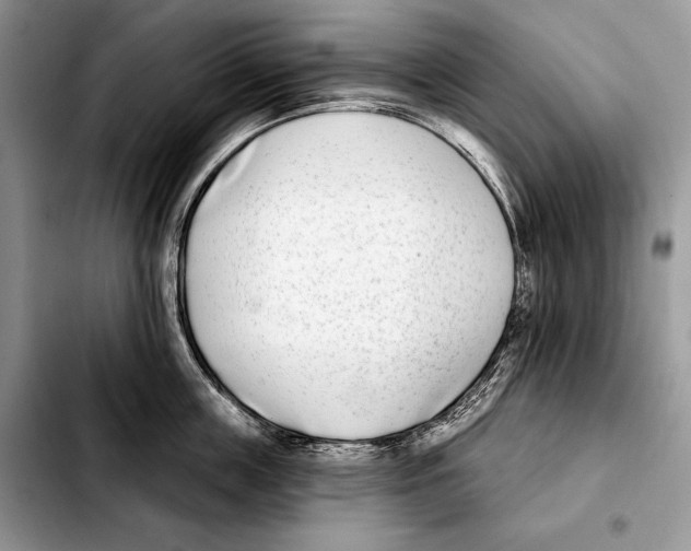 X0000103460859200810101148