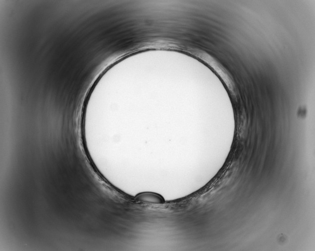 X0000103460861200810101148