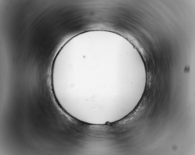X0000103460863200810101148