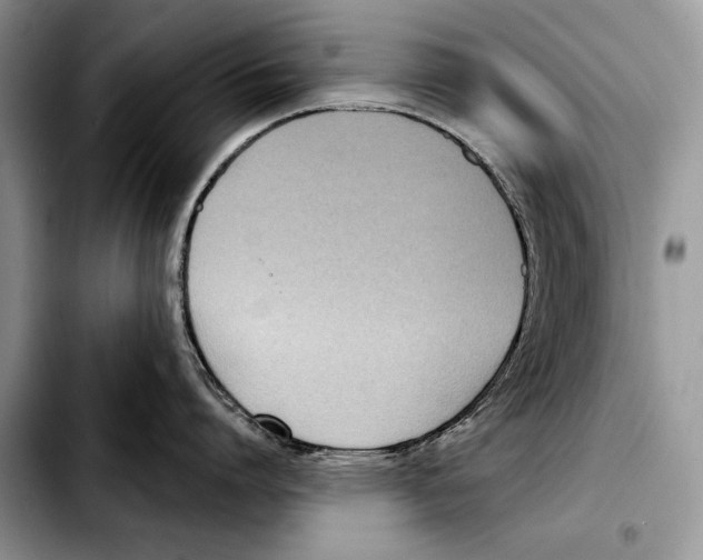 X0000103460864200810101149