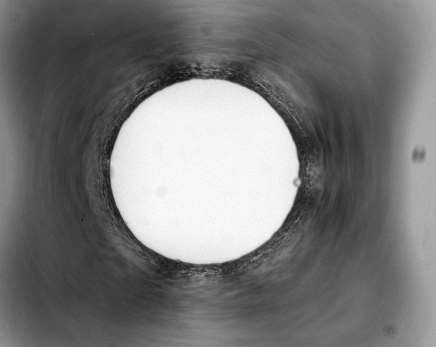 X0000103460865200810101148