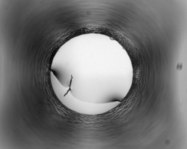 X0000103460868200810101148