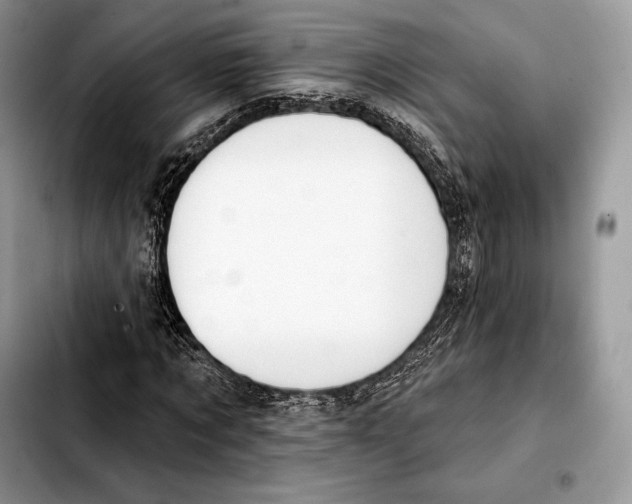 X0000103460869200810101148