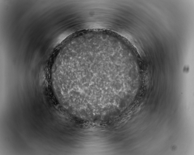 X0000103460871200810101148
