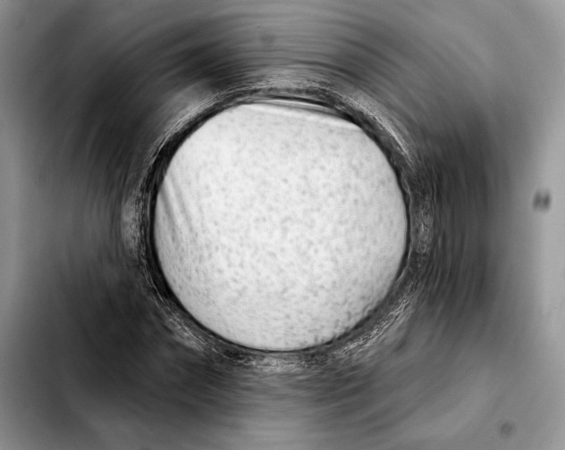 X0000103460874200810101148