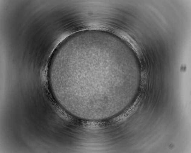 X0000103460875200810101148