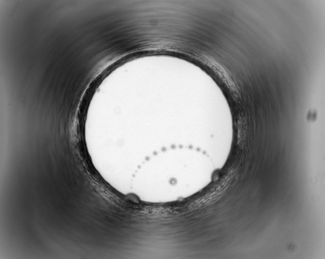 X0000103460876200810101148