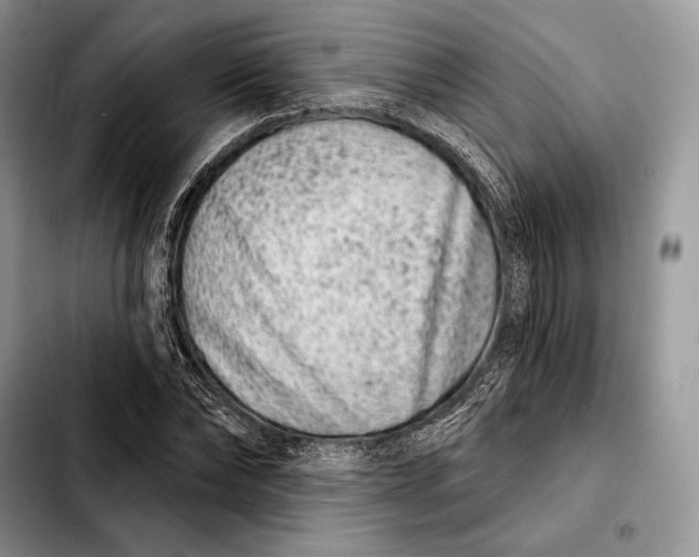 X0000103460878200810101148