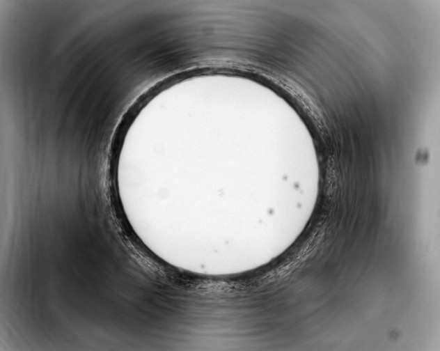 X0000103460880200810101148