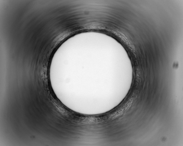 X0000103460881200810101148