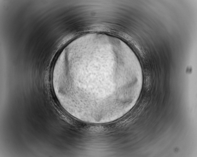 X0000103460882200810101148