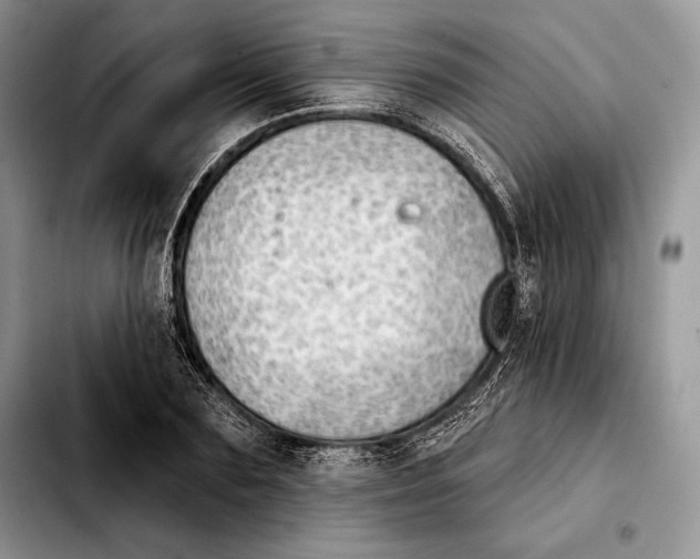 X0000103460883200810101148