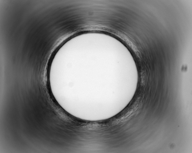 X0000103460885200810101148