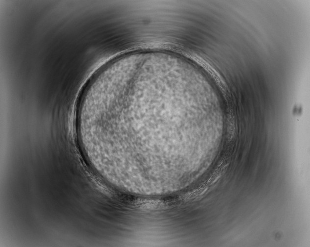 X0000103460886200810101148