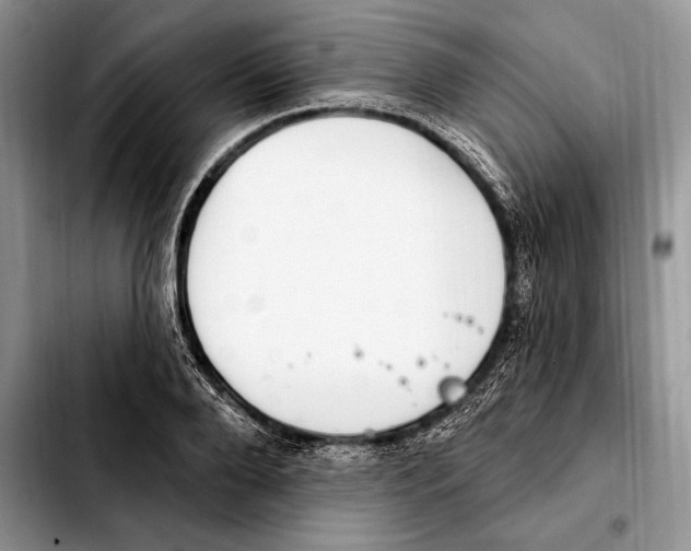 X0000103460888200810101147