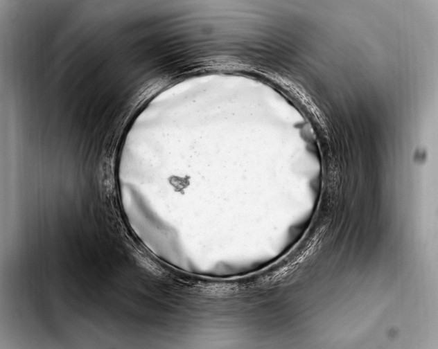 X0000103460889200810101147