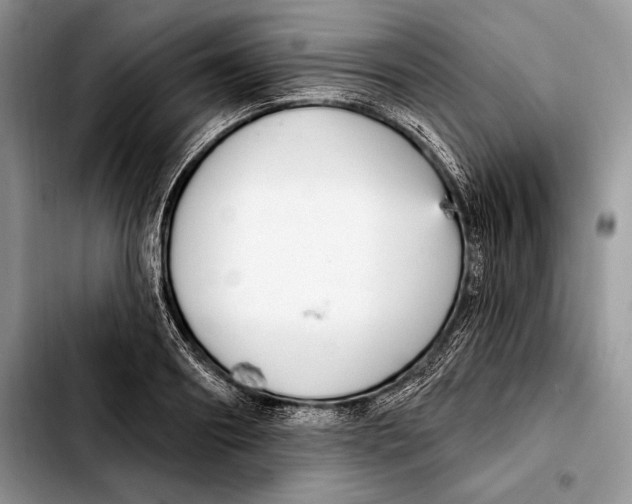 X0000103460890200810101147