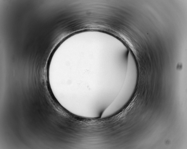 X0000103460891200810101147